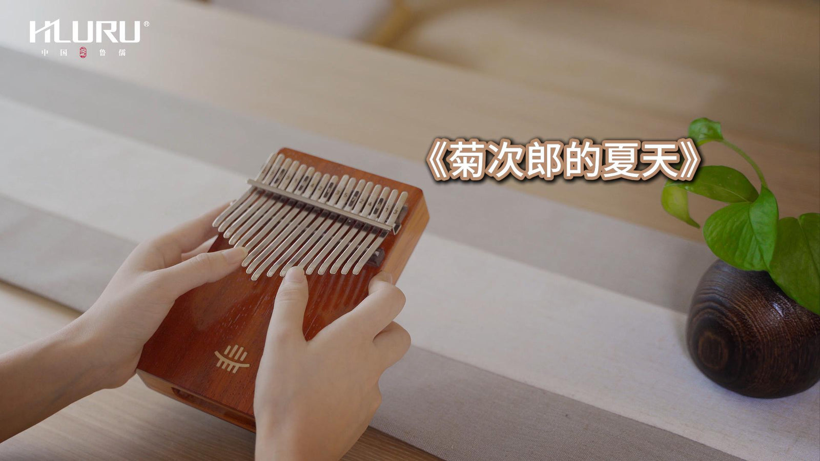 Hluru Kalimba《菊次郎的夏天》for Prenatal Education